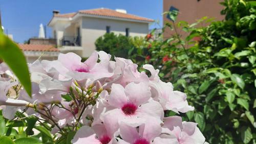 House In Eva Gardens With Pool And Garden