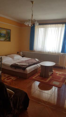 Ilona Vend�gh�z