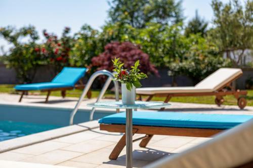 Villa Holiday House With Pool Near Rovinj