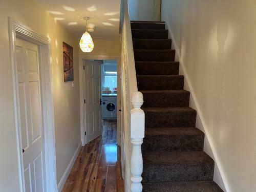 Cosy Cosh House