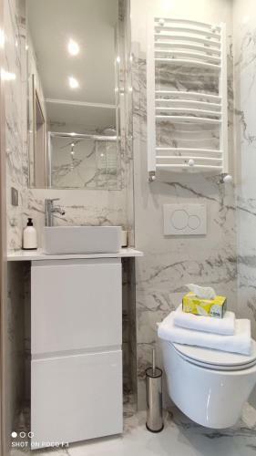 Sweet Apartment Center City Chi?in?u