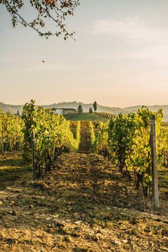 Agroturismo Cascina Longoria