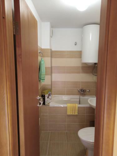 Studio Apartman D&s