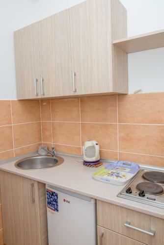 Apartamento Villa Vjera