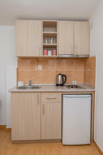 Apartamento Villa Vjera