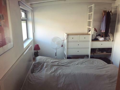 Houseboat Ms Rhy Blitz