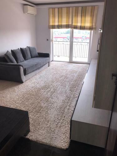 Mc Motilor Apartament