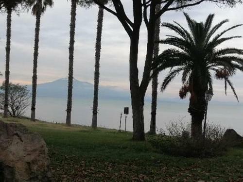 Il Giardino Sul Mare