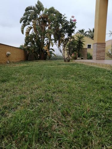 Il Giardino Sul Mare