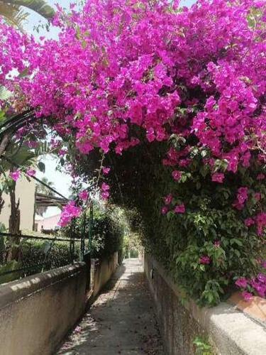 Il Giardino Sul Mare