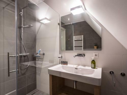 Beautiful, Luxury Villa With Sauna, On Tjeukemeer