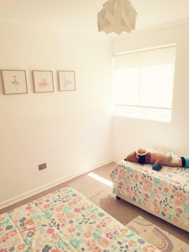 Apartamento Departamento Nuevo Full Algarrobo