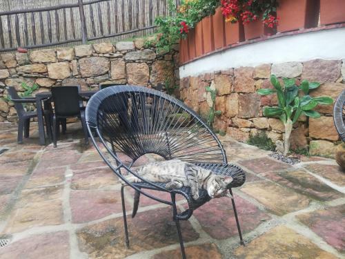Hostal Caba�as Y Habitaciones Independientes En Casa Ayllu