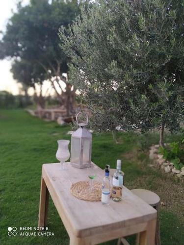Villa Private Stone House With Swimming Pool And 2000 Sq Yard