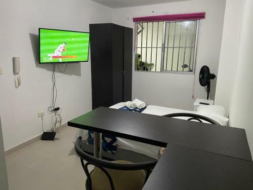 Apartamento Estudio En San Fernando 104