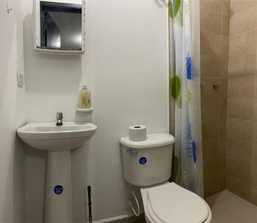 Apartamento Estudio En San Fernando 304