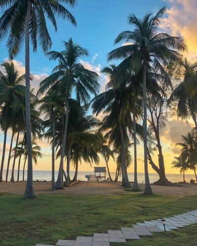 Pelican Beach Resort, Dangriga