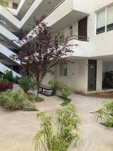 Apartamento Departamento La Serena Full Equipado