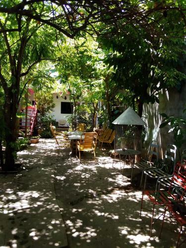 Bed & Breakfast Museito De Carlos