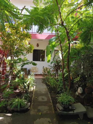 Bed & Breakfast Museito De Carlos