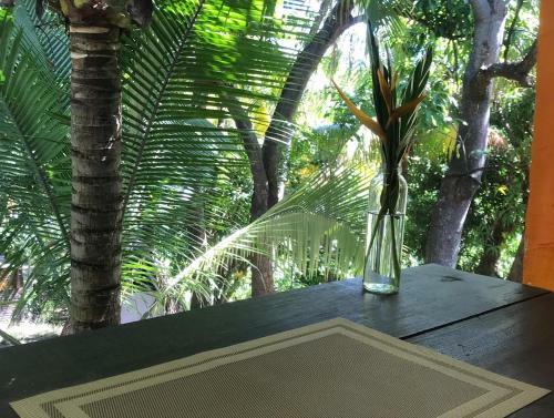 Rio Surf Hostal