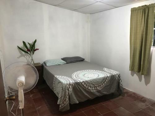 Rio Surf Hostal