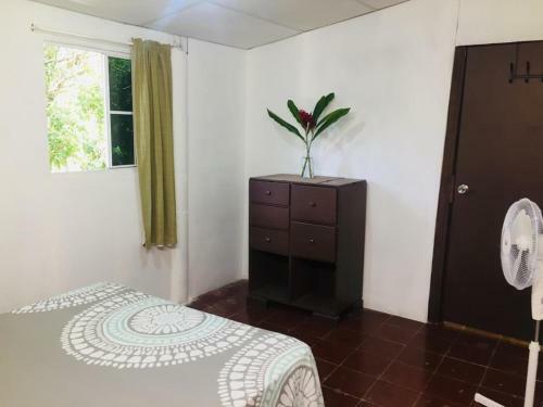 Rio Surf Hostal