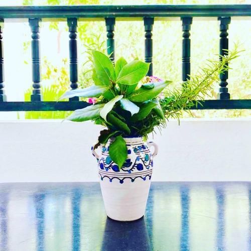 Apartamento R�sidence Neffati