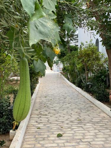 Apartamento R�sidence Neffati