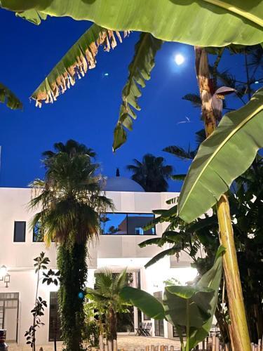 Apartamento R�sidence Neffati