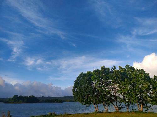 Kaliraya Surf Kamp By Eco Hotel Laguna