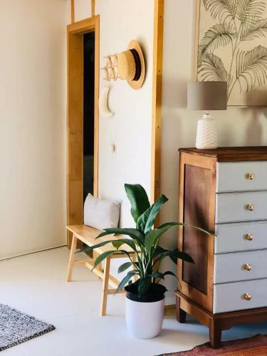 Byron Bay Hinterland Luxury Yurt Escape Terracota