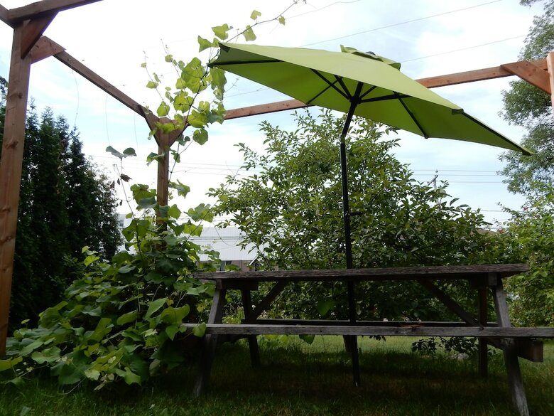 Bed & Breakfast Almatoit
