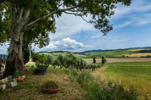 Bed & Breakfast Villa Naumanni