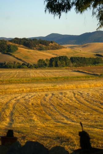Bed & Breakfast Villa Naumanni