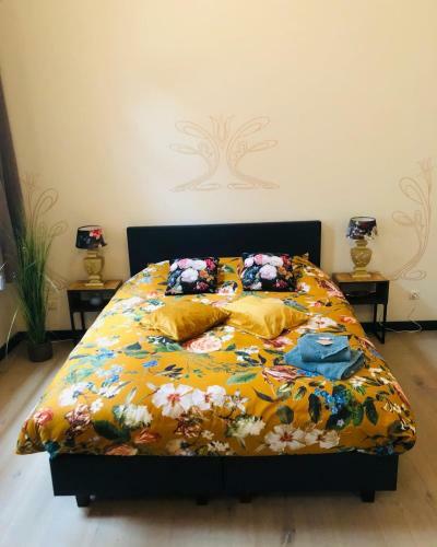 Apartamento Loft D'o