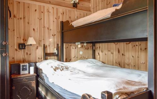 Nice Home In Hemsedal W/ Jacuzzi, Sauna And 4 Bedrooms