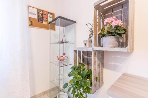 Green Kharkov || The Place Bo Apartments