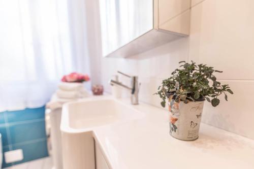 Green Kharkov || The Place Bo Apartments