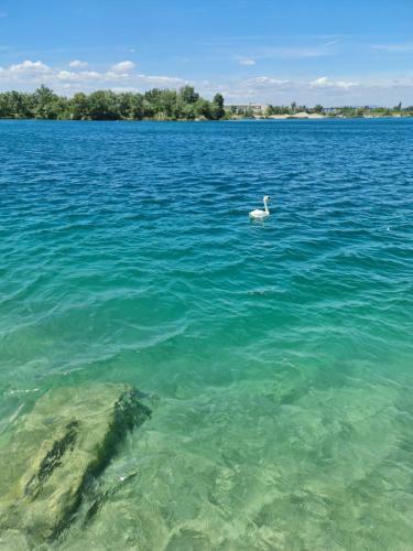 Apartamento Senec Dvojizbov� Byt Na Tehelni