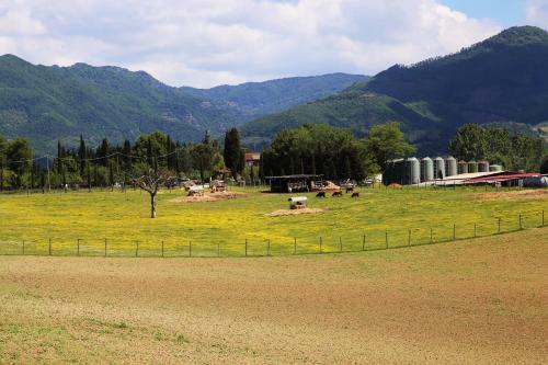 Agroturismo Agriturismo La Colombaia