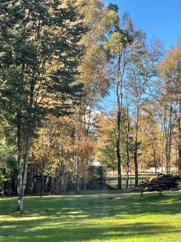 Caba�as Estancia Rayun