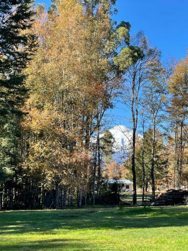 Caba�as Estancia Rayun