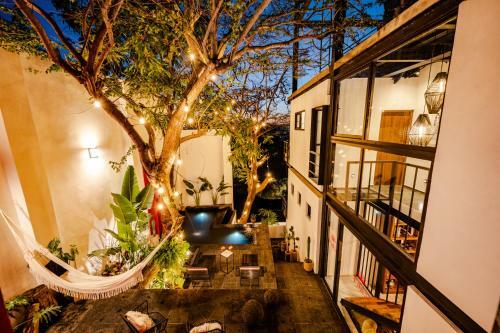 Finca Los Agaves 2