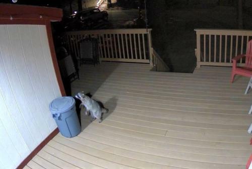 Tranquil Cottage Getaway W/ Huge Deck