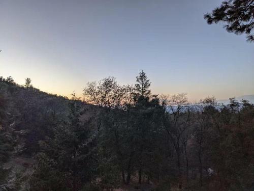 The Chick Inn - Eco-friendly Glamping