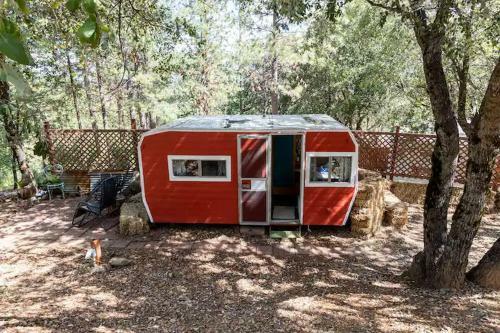 The Chick Inn - Eco-friendly Glamping