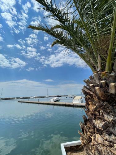 Apartamento Momi Svety Vlas Panorama Bay II Studio 77
