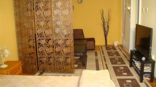 Apartment Sofia Center