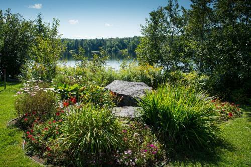 Chalets Lac � La Truite